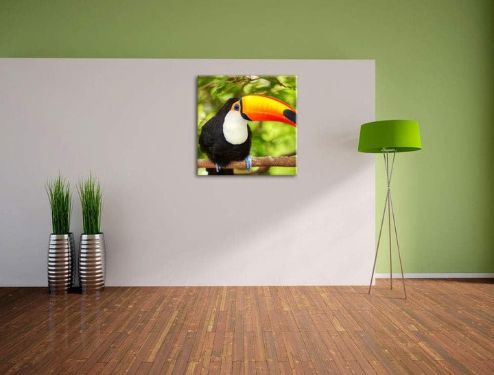 Exotischer Tukan, Format: 70x70 auf Leinwand, XXL riesige Bilder fertig gerahmt mit Keilrahmen, Kuns
