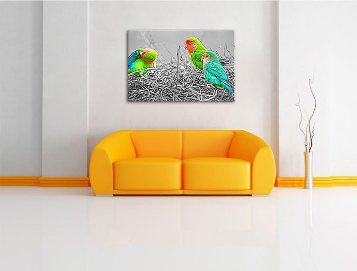 kleine süsse Papageien im Nest schwarz/weiss Deluxe Format: 100x70 cm auf Leinwand, XXL riesige Bild