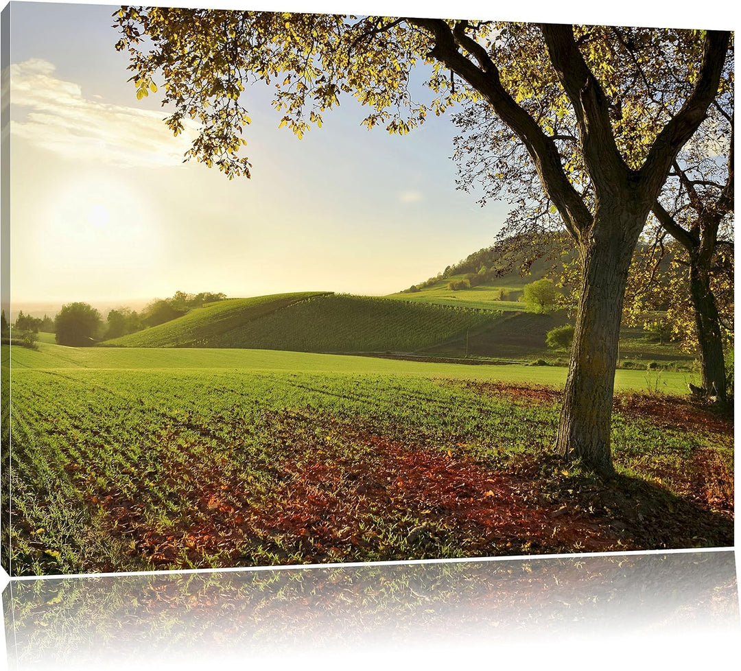 Landschaft im Herbst, Format: 100x70 auf Leinwand, XXL riesige Bilder fertig gerahmt mit Keilrahmen,