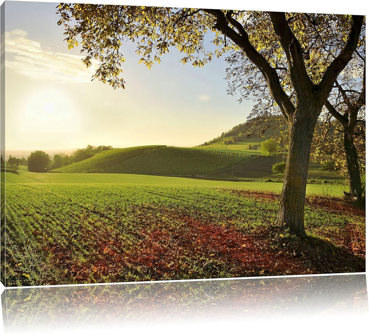 Landschaft im Herbst, Format: 100x70 auf Leinwand, XXL riesige Bilder fertig gerahmt mit Keilrahmen,