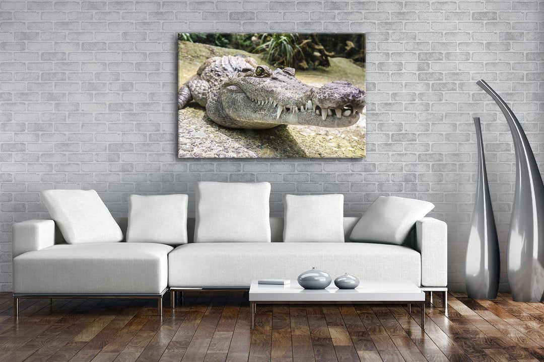 deyoli Anmutiges Krokodil Format: 80x60 als Leinwandbild, Motiv fertig gerahmt auf Echtholzrahmen, H