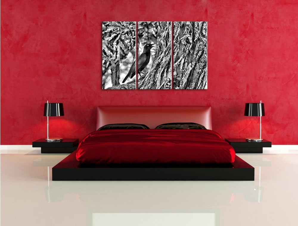 Pixxprint Monocrome, Purpurglanzstar auf Baum 3-Teiler Leinwandbild 120x80 Bild auf Leinwand