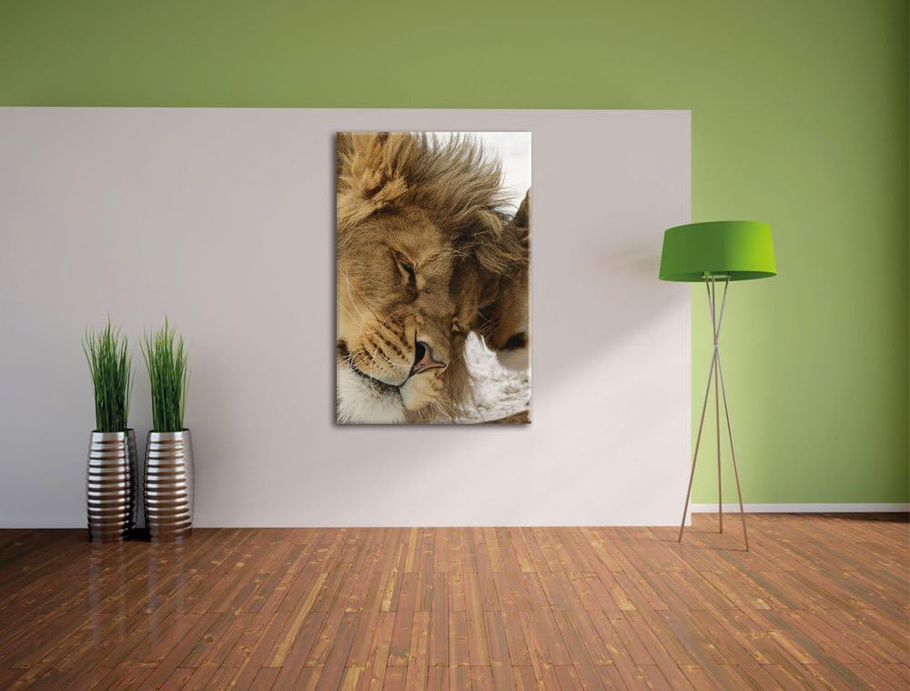 Kuschelnde Löwen, Format: 100x70 auf Leinwand, XXL riesige Bilder fertig gerahmt mit Keilrahmen, Kun
