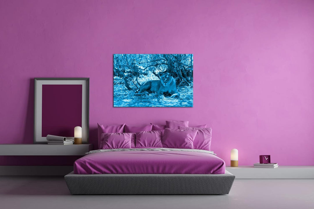 deyoli ruhige Löwin Format 80x60 Effekt: Monocrome Blau als Leinwandbild, Motiv fertig gerahmt auf E