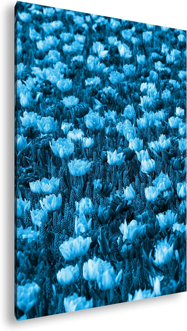 deyoli buntes Blumenfeld Format 80x60 Effekt: Monocrome Blau als Leinwandbild, Motiv fertig gerahmt