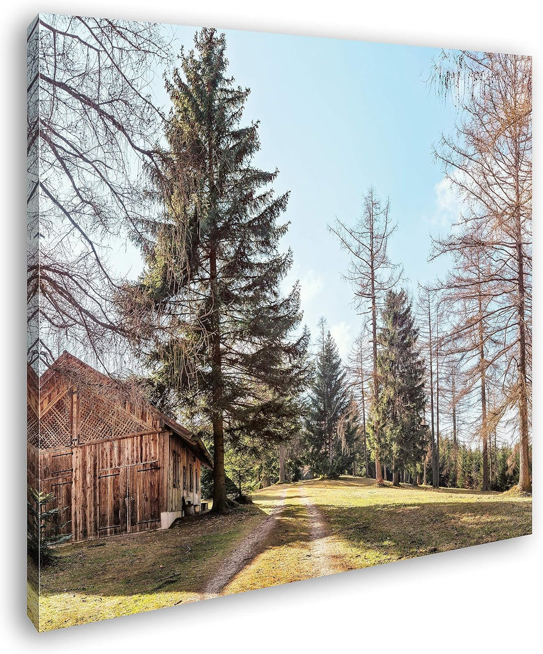 deyoli Alte Holzhütte im Wald Format: 70x70 als Leinwandbild, Motiv fertig gerahmt auf Echtholzrahme