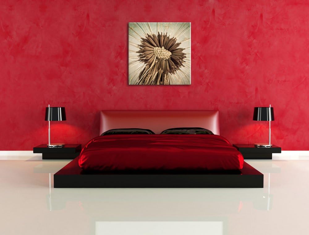 Vertrocknete Pusteblume, Format: 70x70 auf Leinwand, XXL riesige Bilder fertig gerahmt mit Keilrahme