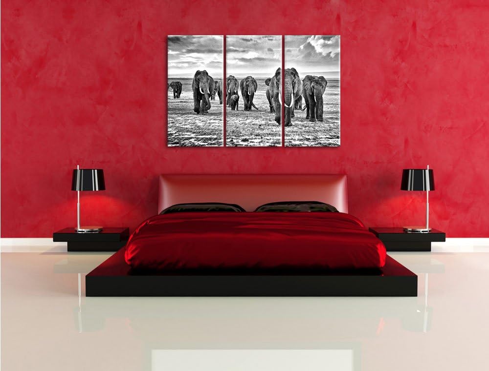 Pixxprint Elefanten Familie in der Savanne als Leinwandbild/Grösse: 3 Teilig (120x80) cm/Wandbild/Ku