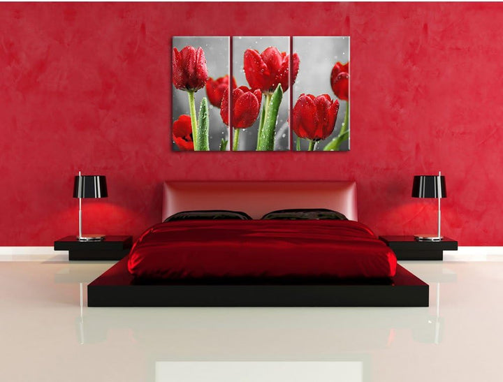 Pixxprint Rote Tulpen mit Tropfen bedeckt als Leinwandbild/Grösse: 3 Teilig (120x80) cm/Wandbild/Kun