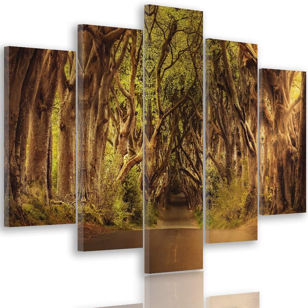 Feeby Leinwandbild Weg 5 TLG Bild Kunstdruck Bäume Landschaft Wald bunt 100x70 cm Leinwandbild 100x7