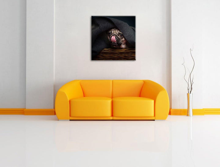Süsser Mops unter der Decke, Format: 70x70 auf Leinwand, XXL riesige Bilder fertig gerahmt mit Keilr