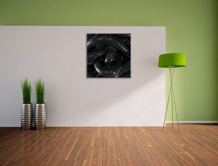 Schwarze elegante Schlange, Format: 70x70 auf Leinwand, XXL riesige Bilder fertig gerahmt mit Keilra