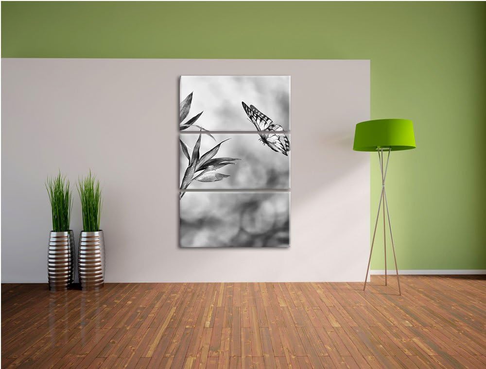 Pixxprint Bambus mit Schmetterling als Leinwandbild/Grösse: 3 Teilig (120x80) cm/Wandbild/Kunstdruck