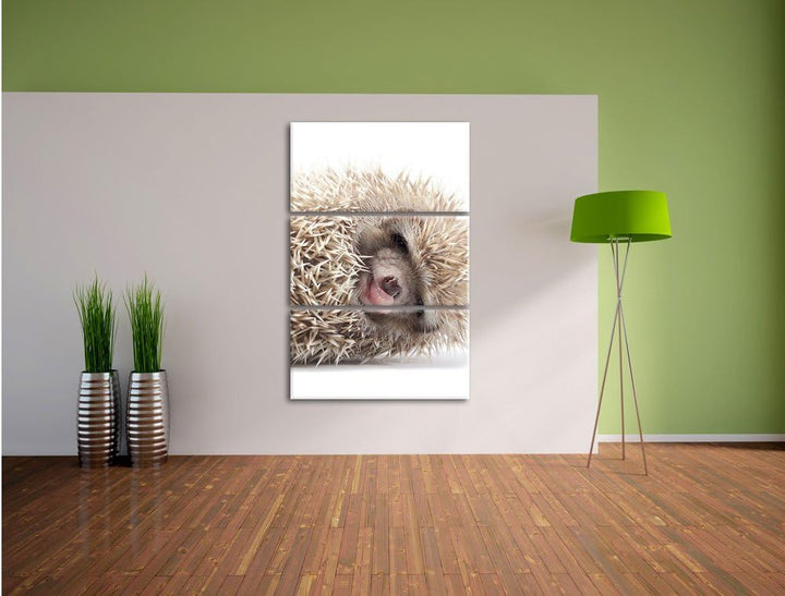 Pixxprint kleines niedliches Igel Baby als Leinwandbild/Grösse: 3 Teilig (120x80) cm/Wandbild/Kunstd
