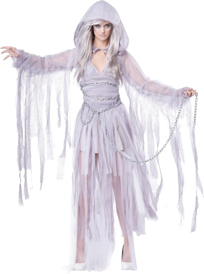 California Costumes 1327 Haunting Beauty Geist Spirit Ghost Kostüm für Erwachsene, Silber, Large, L