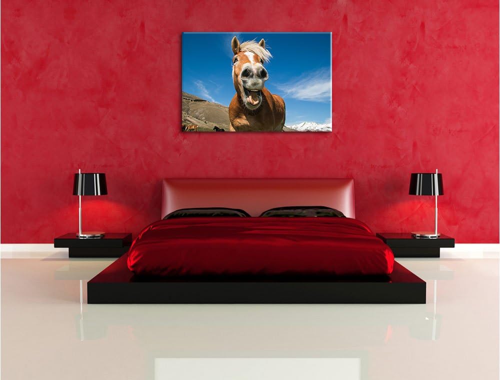 Pixxprint Lustiges Pferd in der Natur als Leinwandbild/Grösse: 100x70 cm/Wandbild/Kunstdruck/fertig