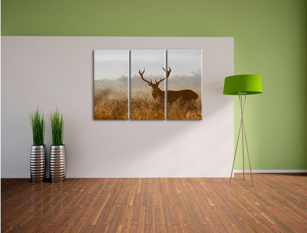 Pixxprint Rotwild Hirsch in Abenddämmerung als Leinwandbild/Grösse: 3 Teilig (120x80 cm) cm/Wandbild