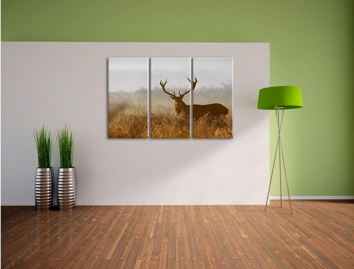 Pixxprint Rotwild Hirsch in Abenddämmerung als Leinwandbild/Grösse: 3 Teilig (120x80 cm) cm/Wandbild
