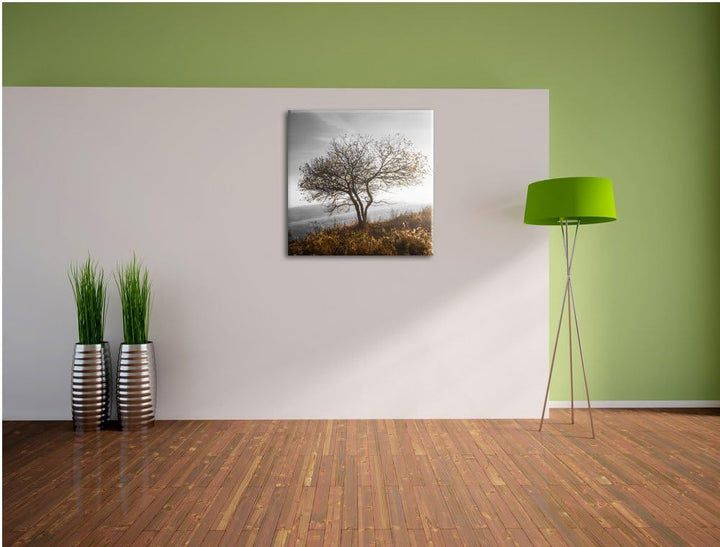 Pixxprint Einsamer Baum auf Berg als Leinwandbild/Grösse: 70x70 cm/Wandbild/Kunstdruck/fertig bespan