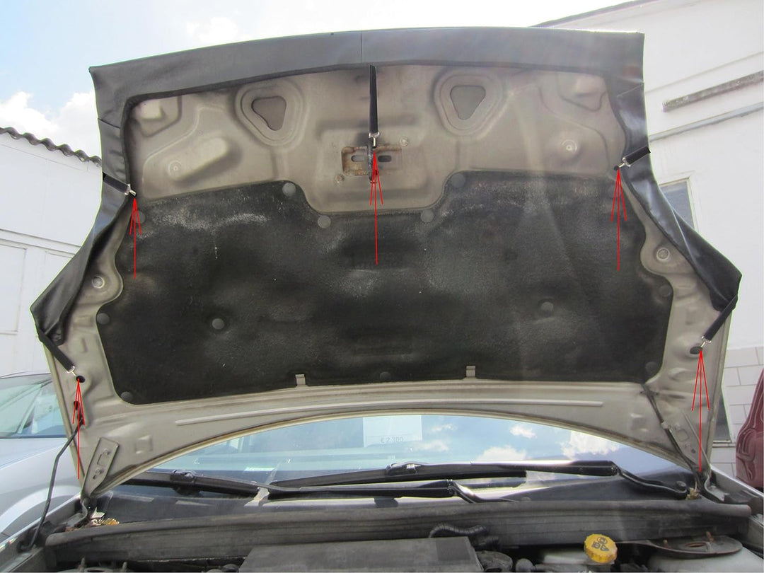 AB-00892 CARBON OPTIK Auto Bra kompatibel mit Ford Fiesta Bj. 2001-2008 Haubenbra Steinschlagschutz