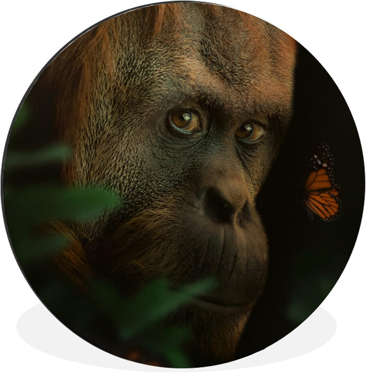MuchoWow Wandbild Rund Wanddeko Deko Wohnzimmer Bilder 90x90 cm Tiere - Affe - Natur, 90x90 cm