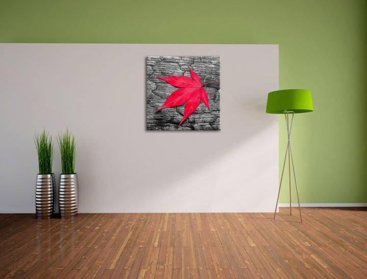 Pixxprint Rotes Ahornblatt im Herbst schwarz/weiss, Format: 70x70 auf Leinwand, riesige Bilder ferti
