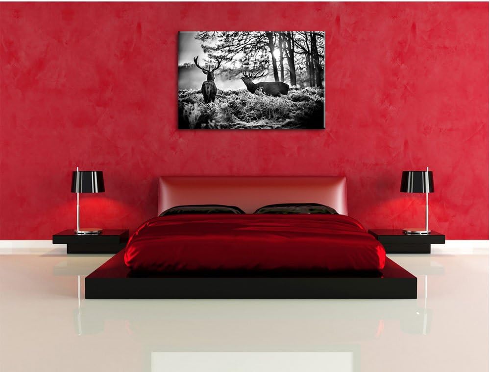 Pixxprint Hirsch Rivalen kämpfen als Leinwandbild/Grösse: 100x70 cm/Wandbild/Kunstdruck/fertig bespa