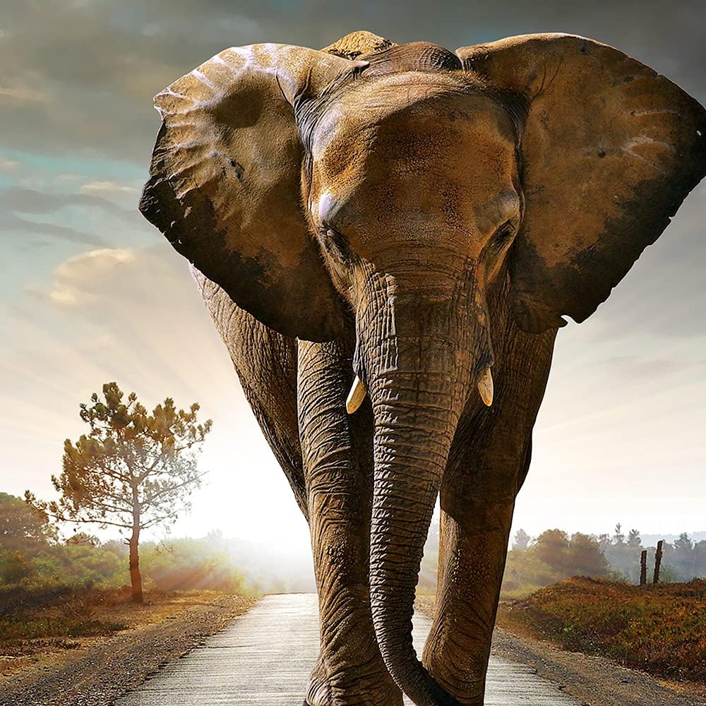 Feeby Viles - Leinwand Bilder - Fensterblick Natur- 90x60 cm- Deko Wohnzimmer - Wandbilder Schlafzim