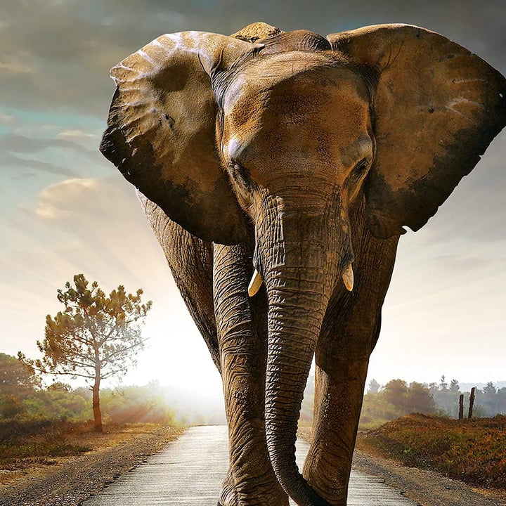 Feeby Viles - Leinwand Bilder - Fensterblick Natur- 90x60 cm- Deko Wohnzimmer - Wandbilder Schlafzim