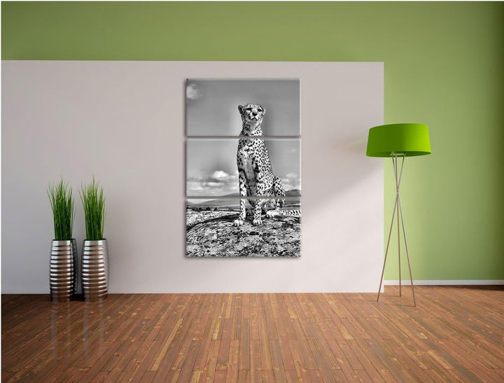 Pixxprint Monocrome, Wachsamer Gepard 3-Teiler Leinwandbild 120x80 Bild auf Leinwand