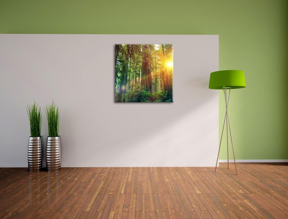 Wald bei Sonnenlicht, Format: 70x70 auf Leinwand, XXL riesige Bilder fertig gerahmt mit Keilrahmen,