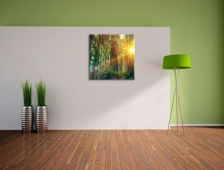 Wald bei Sonnenlicht, Format: 70x70 auf Leinwand, XXL riesige Bilder fertig gerahmt mit Keilrahmen,