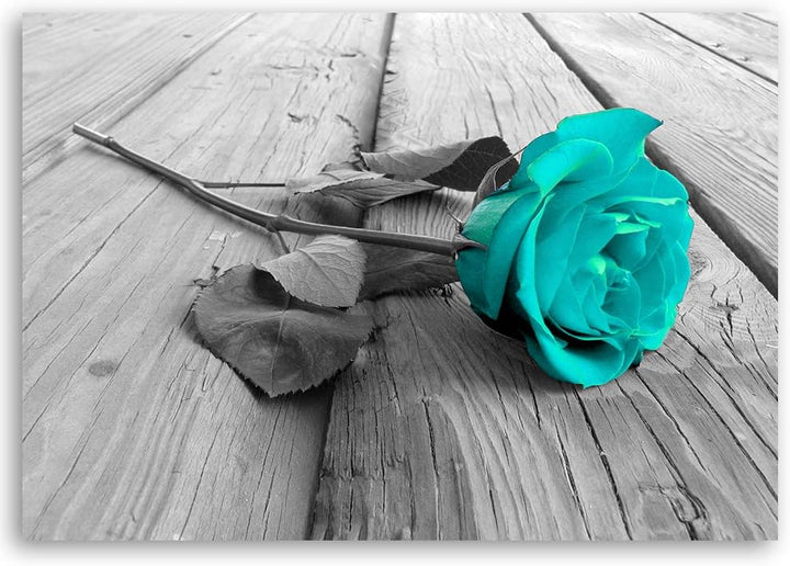 Wandbild Natur Modern Deko Kunst Bilder Pflanze Blau 90x60 cm M14562 90x60 cm, M14562 90x60 cm