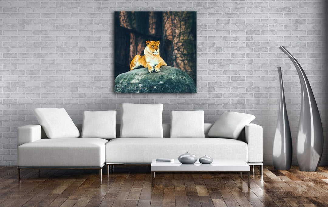 deyoli erhabene stolze Löwin Format: 60x60 als Leinwand, Motiv fertig gerahmt auf Echtholzrahmen, Ho