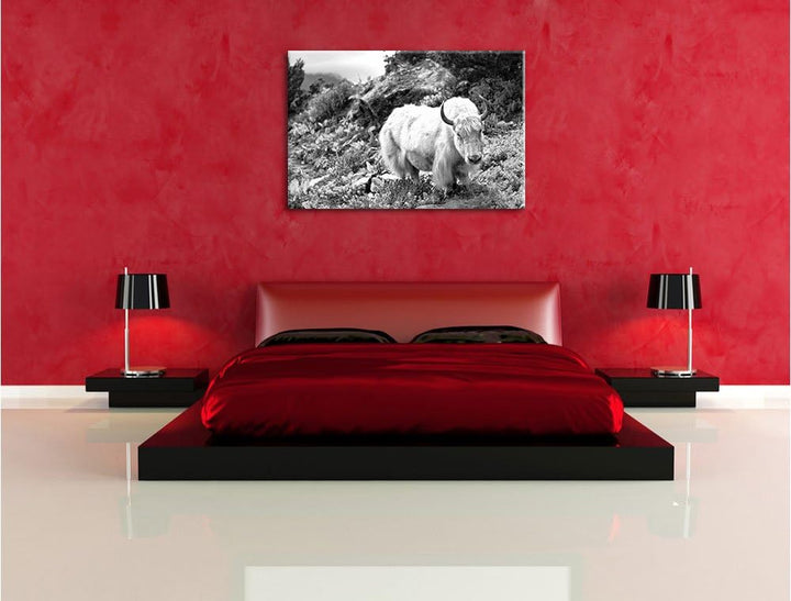 Pixxprint Schönes Yak Himalaya Kunst B&W als Leinwandbild/Grösse: 100x70 cm/Wandbild/Kunstdruck/fert