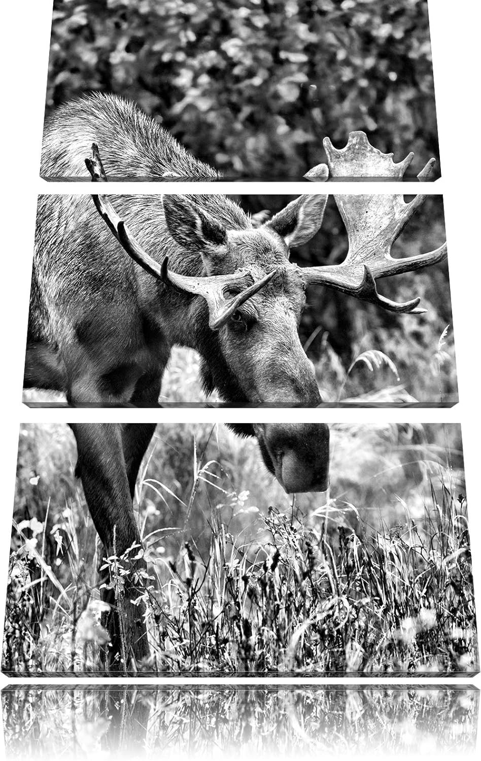 Pixxprint Monocrome, Grosser Elch 3-Teiler Leinwandbild 120x80 Bild auf Leinwand