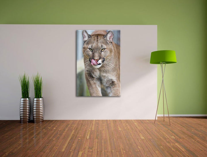 Pixxprint anmutiger Puma auf Leinwand, XXL riesige Bilder fertig gerahmt mit Keilrahmen, Kunstdruck