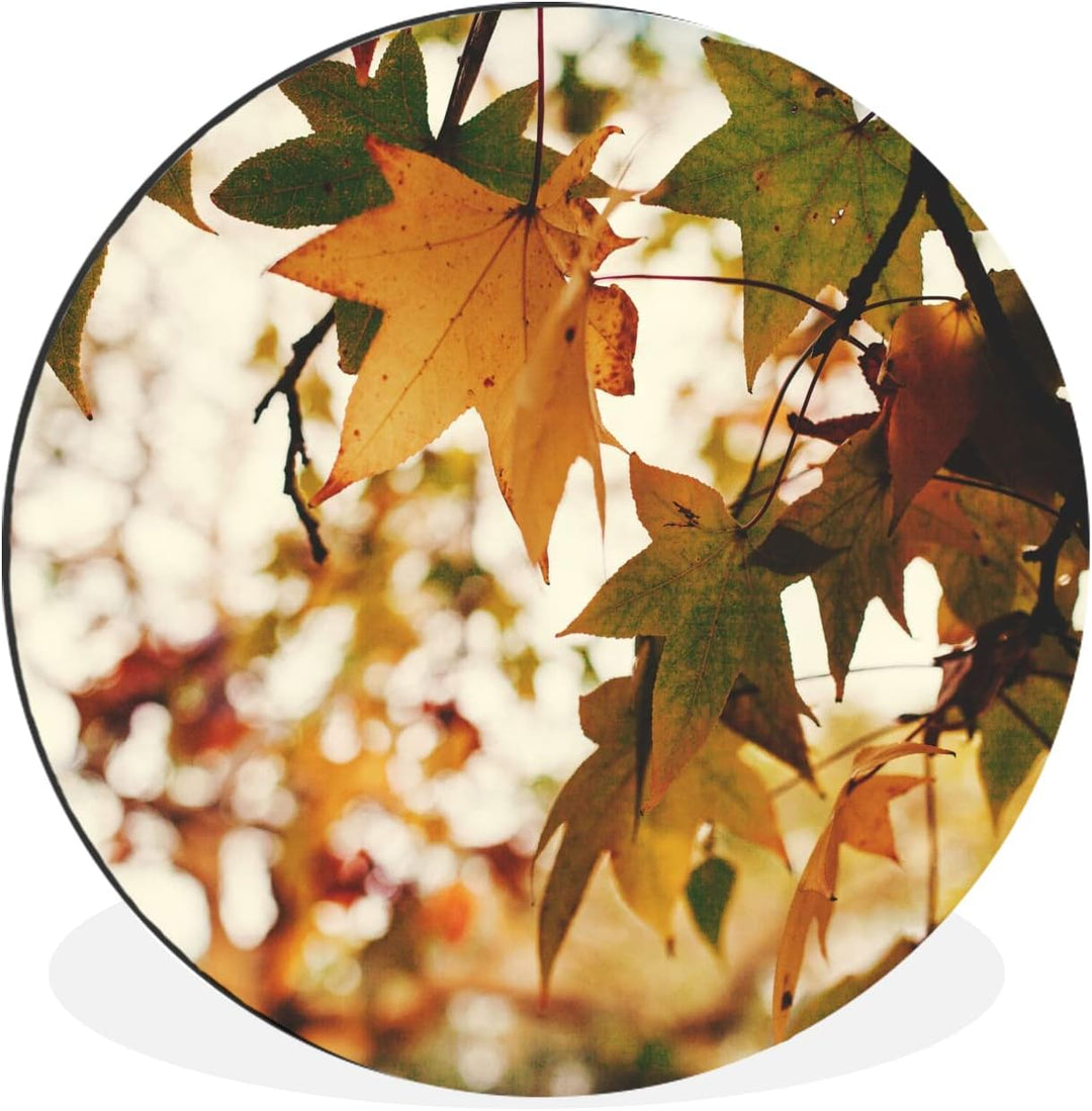 MuchoWow Wandbild Rund Wanddeko Deko Wohnzimmer Bilder 30x30 cm Natur - Herbstblätter - Rustikal, 30