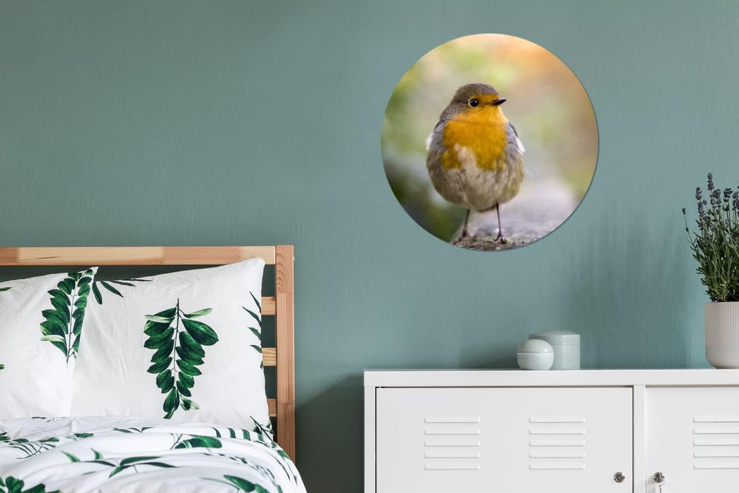 MuchoWow Wandbild Rund Wanddeko Deko Wohnzimmer Bilder 60x60 cm Vögel - Rotkehlchen - Baum, 60x60 cm