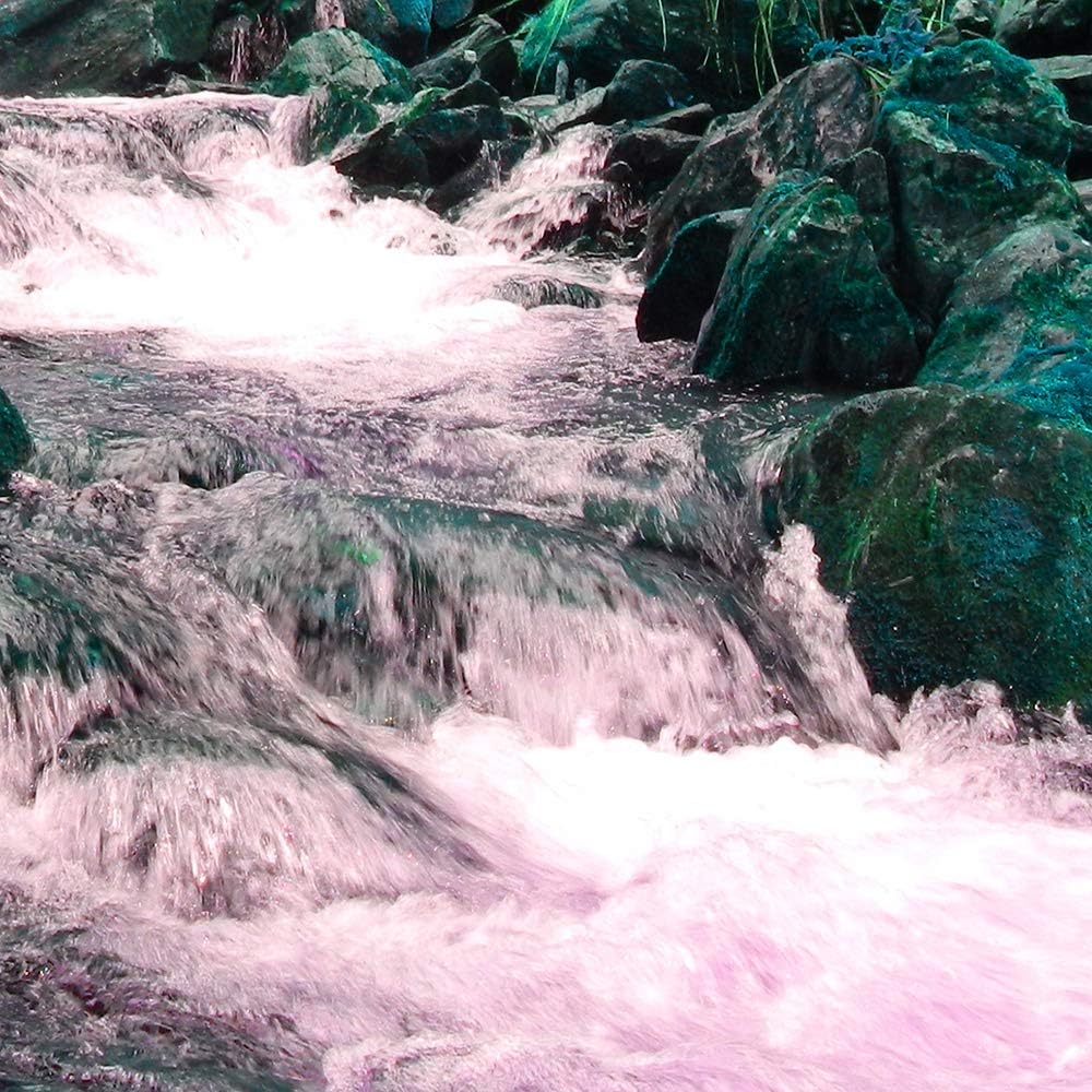 Bilder Fluss 150x100 cm - Leinwandbild 5 Teilig XXL Kunstdruck Natur Wald grün Leinwandbild XXL 150x