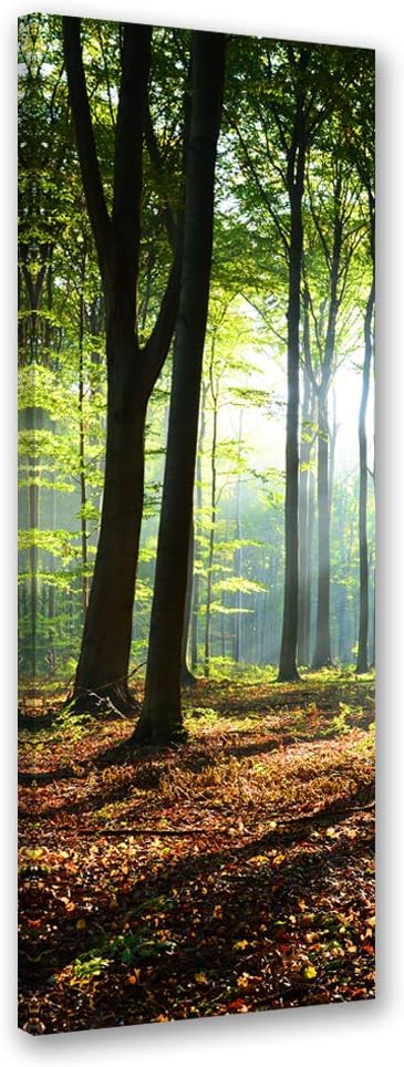 Feeby Vlies Leinwandbild Wald Natur 60x150 cm Wand Bild Kunstdruck Deko Wohnzimmer Wohnungs Deko Son