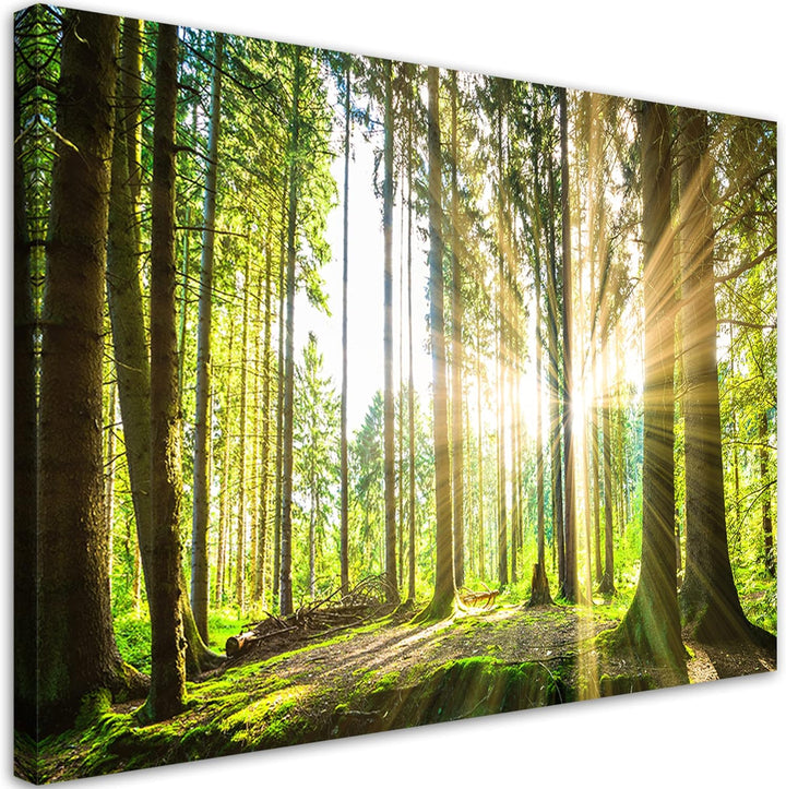 Feeby Leinwand Bilder - Natur - Wald - 120x80 cm- Deko Wohnzimmer - Wandbilder Schlafzimmer - Deko A