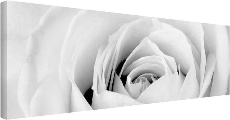 Bilderwelten Leinwandbild Schwarz-Weiss - Close Up Rose - Panoramabild Quer, 30cm x 90cm, 30cm x 90c