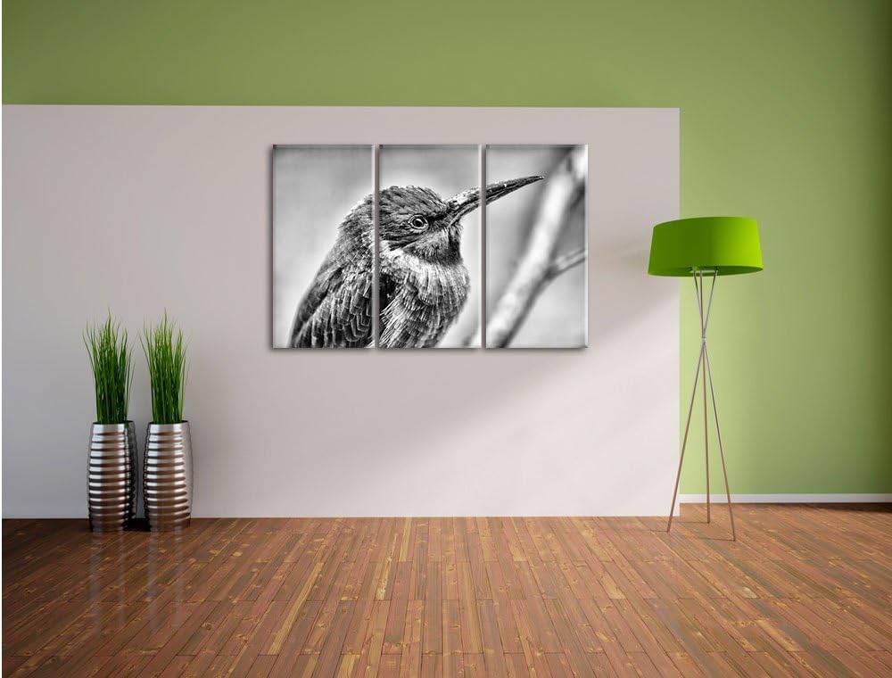 Pixxprint Kleiner tropischer Vogel als Leinwandbild/Grösse: 3 Teilig (120x80) cm/Wandbild/Kunstdruck