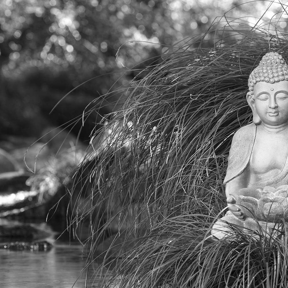 Feeby Leinwandbild 5 Teilig Buddha Bild Wanddeko Natur Wasser Schwarzweiss 200x100 cm Leinwandbild 2