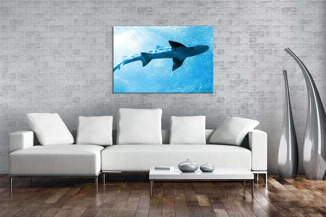 deyoli grosser Hai im Aquarium Format 80x60 Effekt: Monocrome Blau als Leinwandbild, Motiv fertig ge