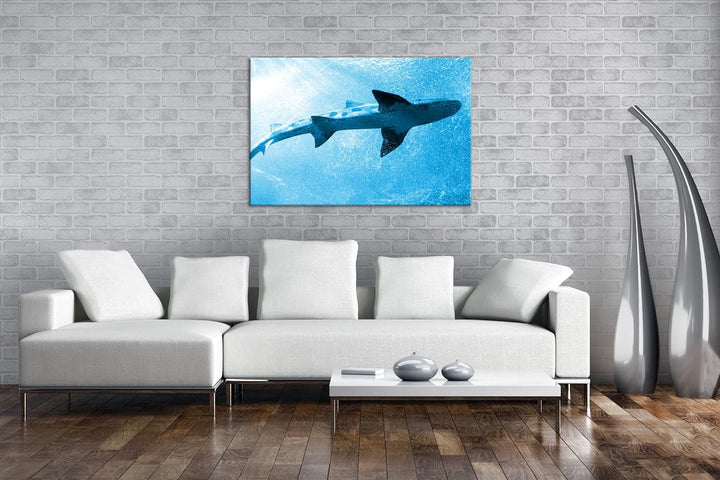 deyoli grosser Hai im Aquarium Format 80x60 Effekt: Monocrome Blau als Leinwandbild, Motiv fertig ge