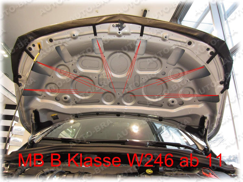 AB-00900 CARBON OPTIK Auto Bra kompatibel mit MB Mercedes Benz B-Klasse W246 Bj. 2012-2018 Haubenbra