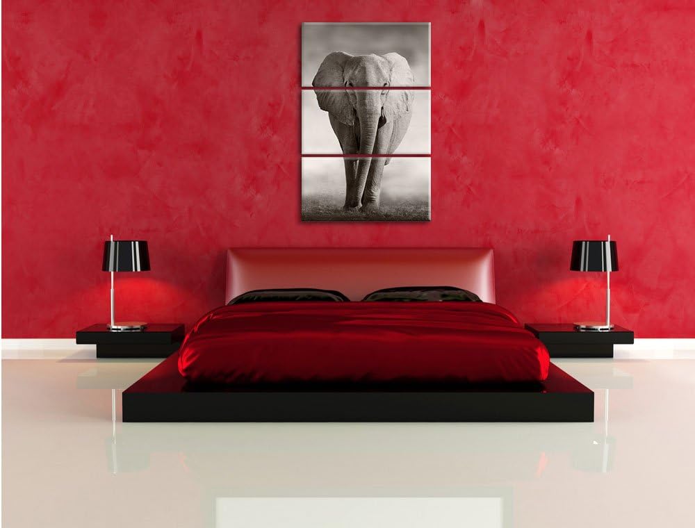 Pixxprint Elefant in Savanne 3-Teiler Leinwandbild 120x80 Bild auf Leinwand