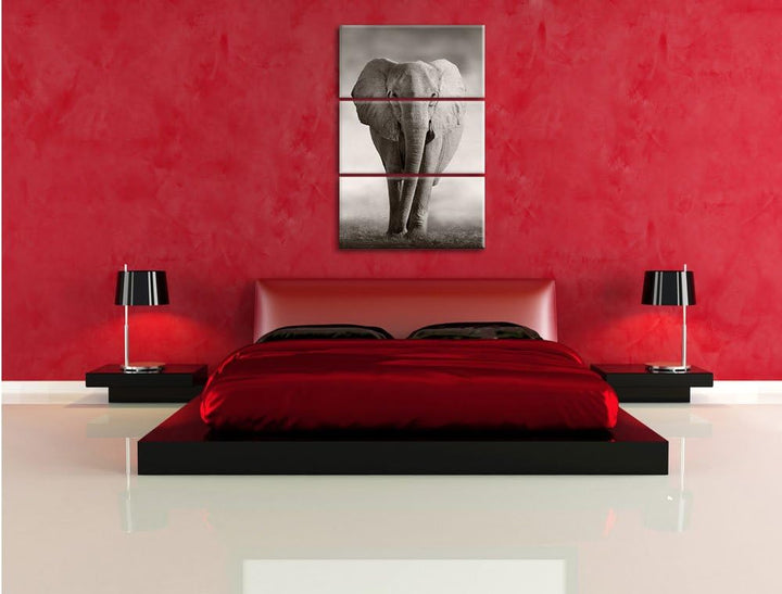 Pixxprint Elefant in Savanne 3-Teiler Leinwandbild 120x80 Bild auf Leinwand